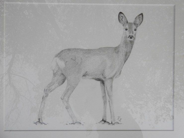 Reh Graphit Bleistift pencil 